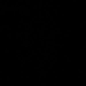 Meet your Posher, Ana